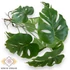 Kép 1/4 - Mű betűzhető monstera bevonatos 9 szál 34 cm - sötétzöld szemből