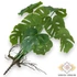 Kép 3/4 - Mű betűzhető monstera bevonatos 9 szál 34 cm - sötétzöld hátul
