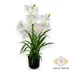 Kép 3/4 - Mű cserepes cymbidium levelekkel selyem 85 cm - fehér álló