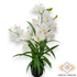 Kép 1/4 - Mű cserepes cymbidium levelekkel selyem 85 cm - fehér szemből