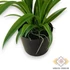Kép 4/4 - Mű cserepes cymbidium levelekkel selyem 85 cm - fehér alul