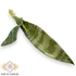 Kép 1/3 - Mű sansevieria levél bevonatos 41 cm - sötét szemből