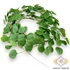 Kép 1/3 - Mű eucalyptus polyanthemos girland selyem 200 cm - zöld szemből