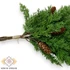 Kép 2/3 - Mű boróka köteg tobozzal gumi 5 szál 50 cm - zöld közeli