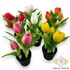 Kép 1/2 - Mű cserepes tulipán kerek gumi 5 szál 22 cm szemből