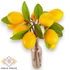 Kép 2/4 - Mű citrom köteg 5 szál 35 cm - sárga álló