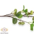 Kép 2/3 - Mű közönséges vadkörte ág 73 cm - zöld közeli