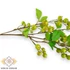 Kép 2/3 - Mű bogyós orbáncfű ág 74 cm - zöld közeli