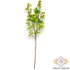 Kép 3/3 - Mű bogyós orbáncfű ág 74 cm - zöld álló