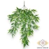 Kép 2/3 - Mű zöld strobilanthes anisophylla csokor futó 5 szál 78 cm - zöld
