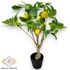 Kép 1/4 - Mű citrom bonsai cserépben 50 cm - sárga álló