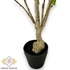 Kép 4/4 - Mű citrom bonsai cserépben 50 cm - sárga cserép